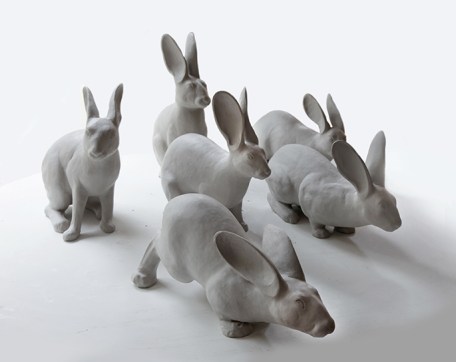 New-world-order-rabbits-685w